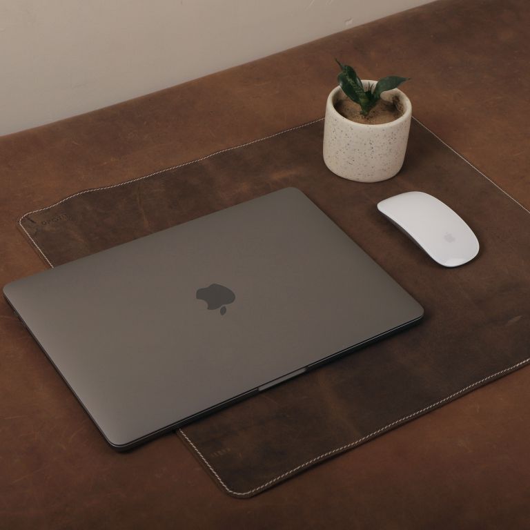 Laptop on a brown leather desk with a mouse and plant